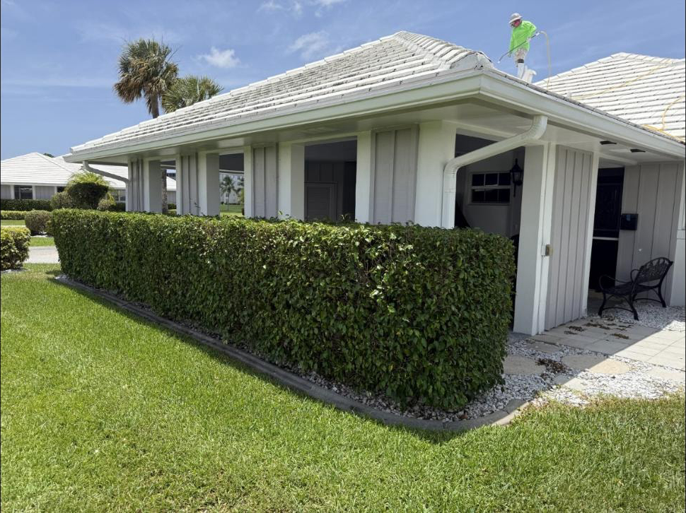 Before: Flat tile roof in Atlantis, FL during soft washing