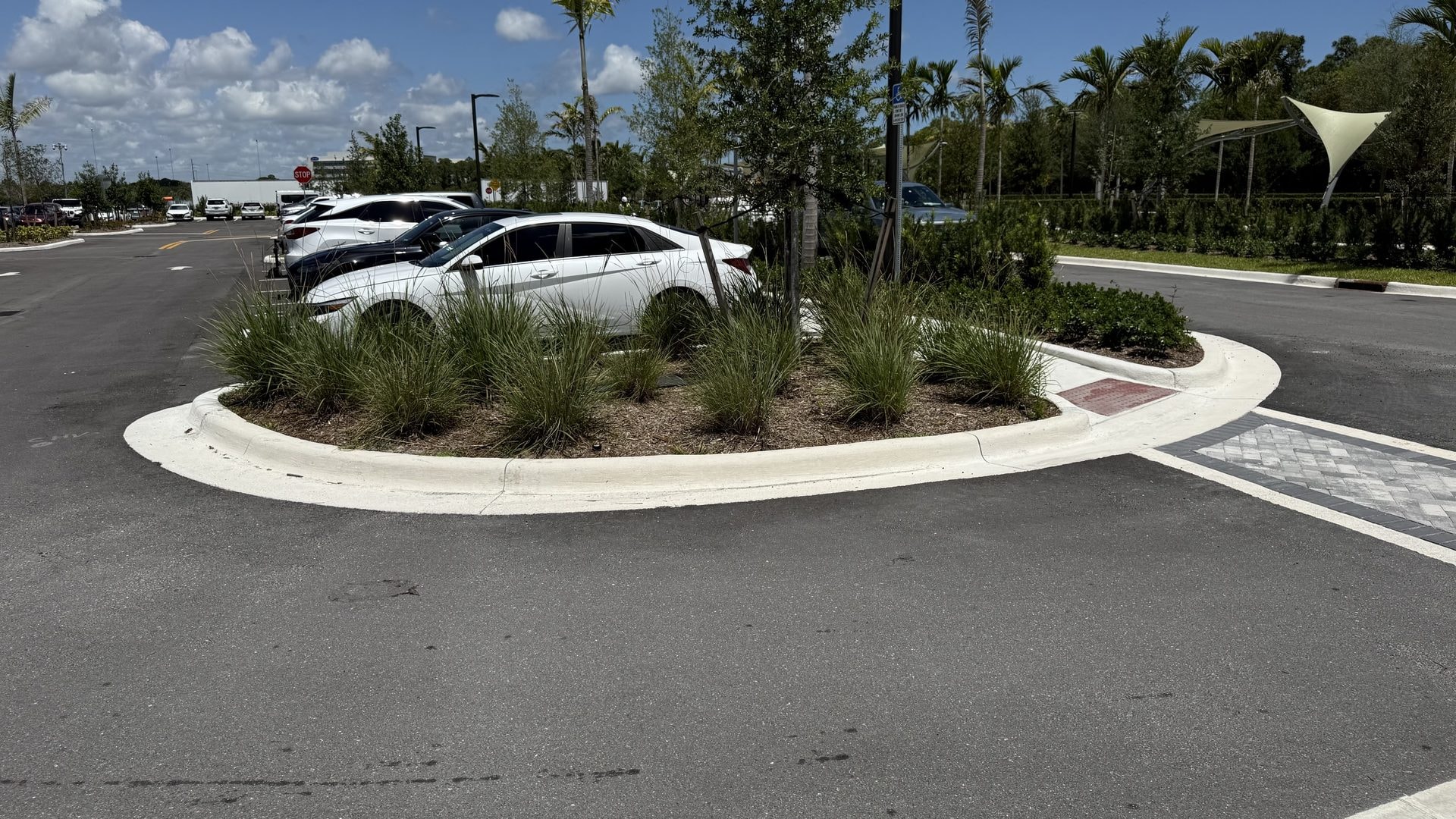 Cleaned curbing and landscaped parking island at a medical center, Palm Beach Gardens, FL