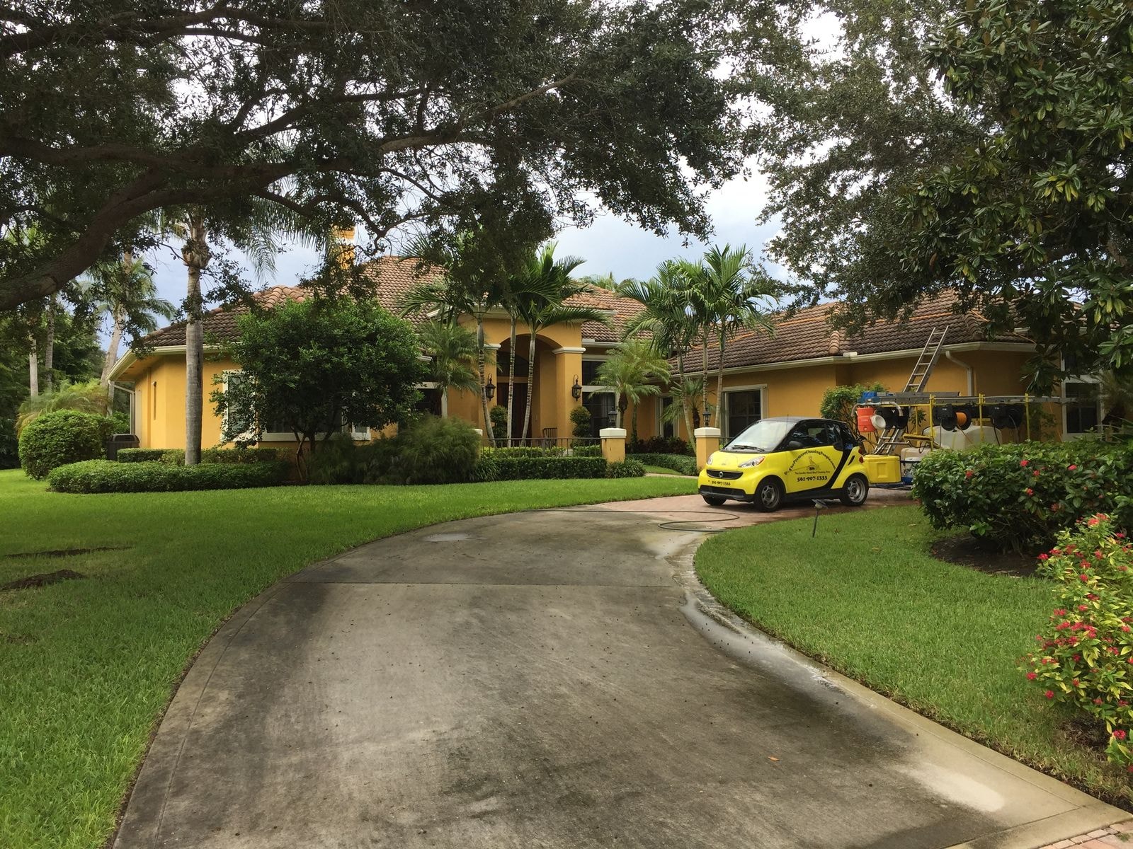 Before: Wide street-level view of a curving concrete driveway leading to a single-story home with mature landscaping, before pressure washing, Palm Beach Gardens, FL