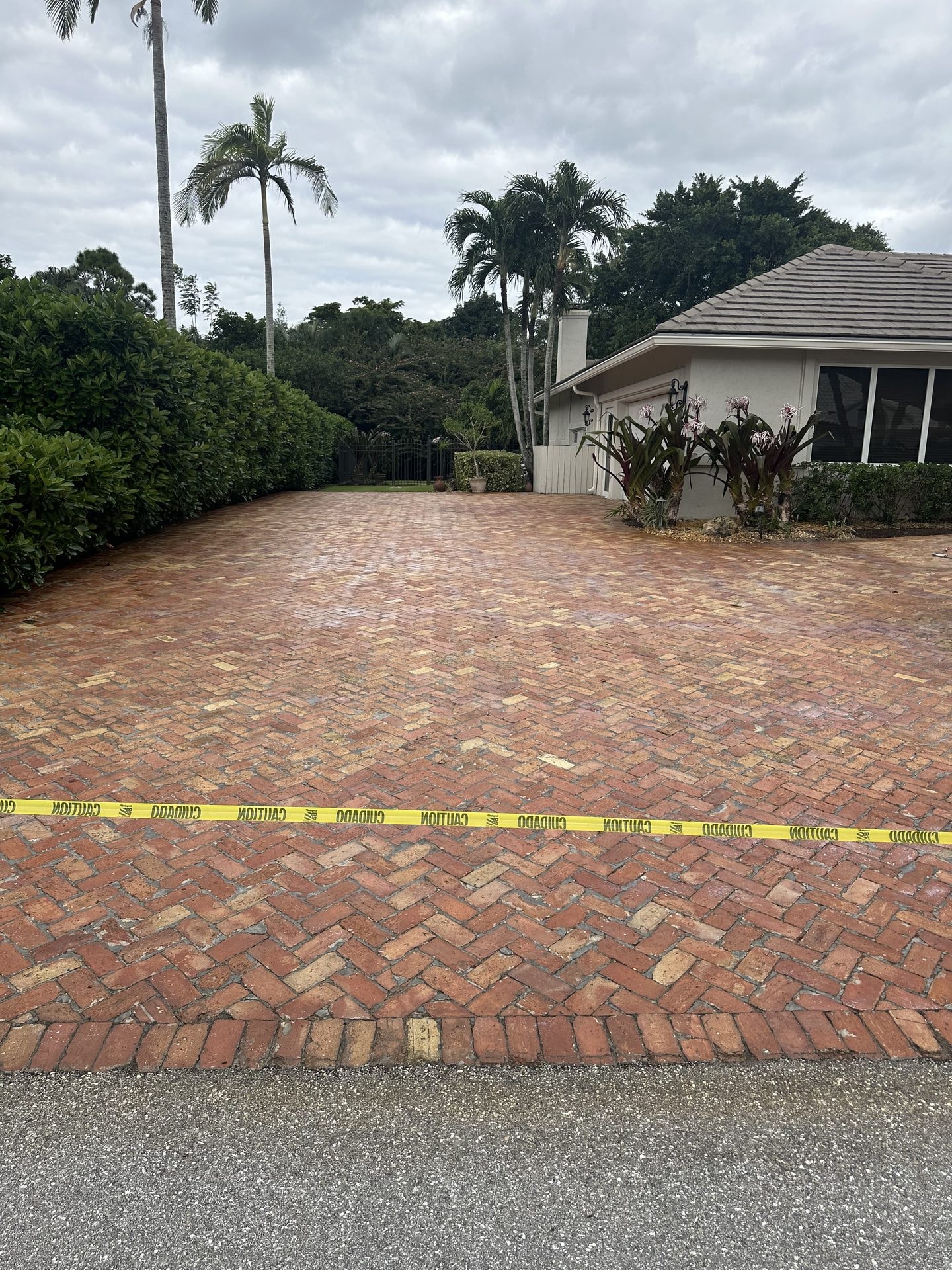 After: The same Old Chicago brick paver driveway after cleaning and sealing with the brick color restored and deepened, Boynton Beach, FL