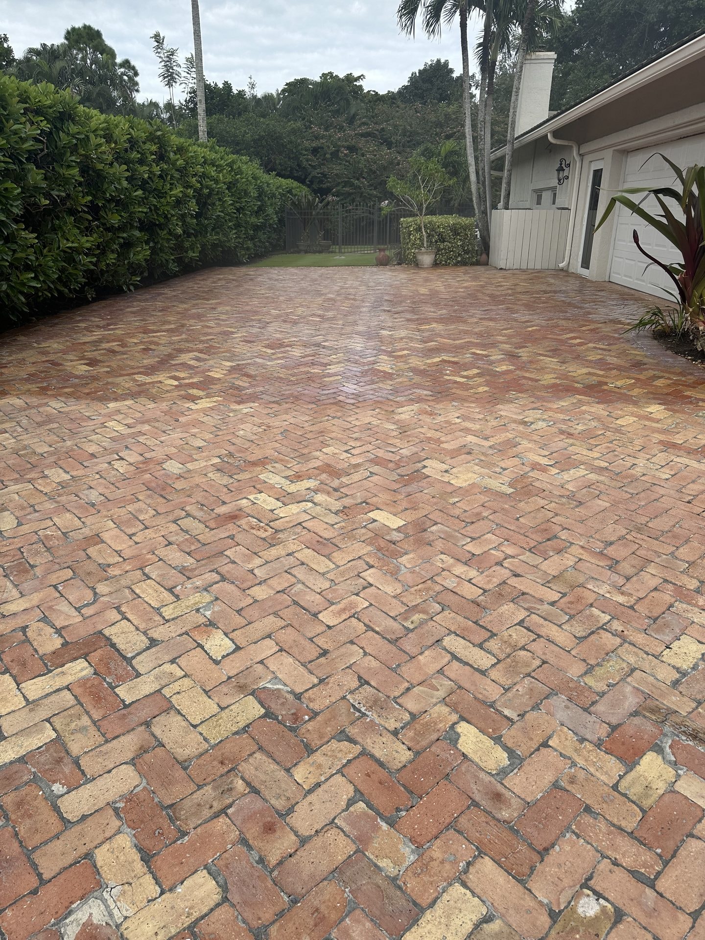 Before: Old Chicago brick paver driveway before cleaning and sealing, Boynton Beach, FL