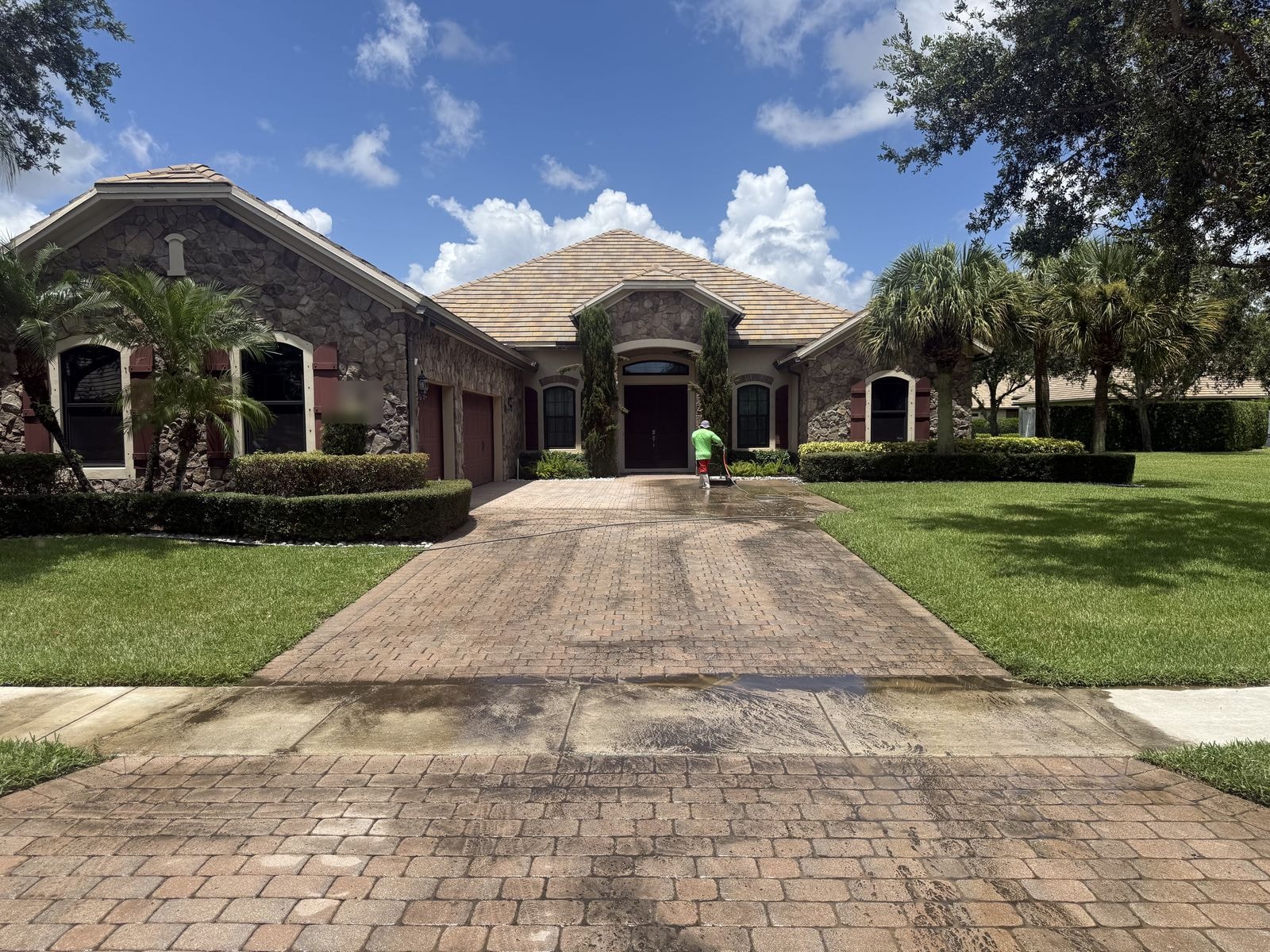 Before: Concrete paver driveway with algae staining and discoloration before cleaning