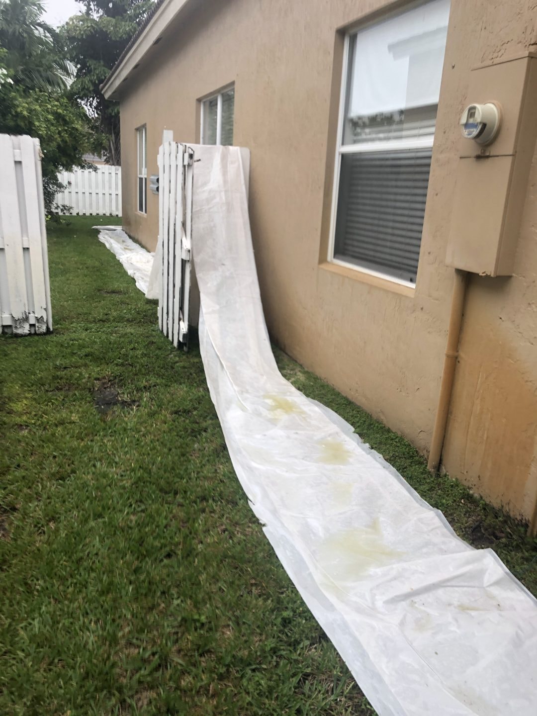 Tarps protecting lawn and landscaping during roof cleaning, Greenacres, FL