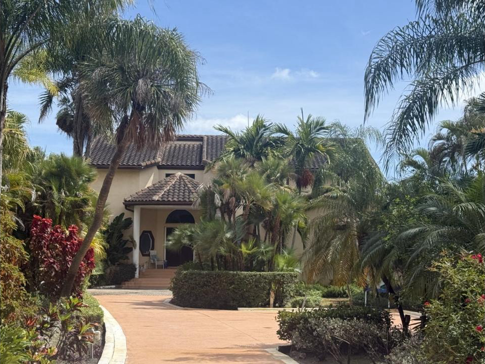 Before: Front entrance of Lake Worth Beach, FL waterfront home through palms — dark stained barrel tile roof before cleaning