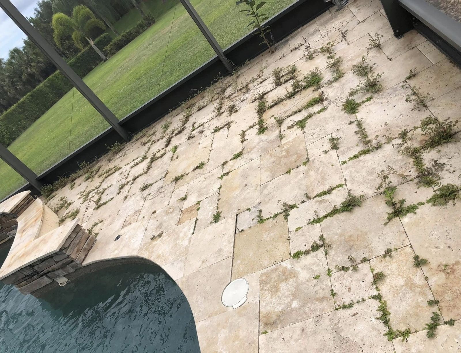 Before: Travertine pool deck with heavy weed growth and staining in the joints before cleaning, Wellington, FL