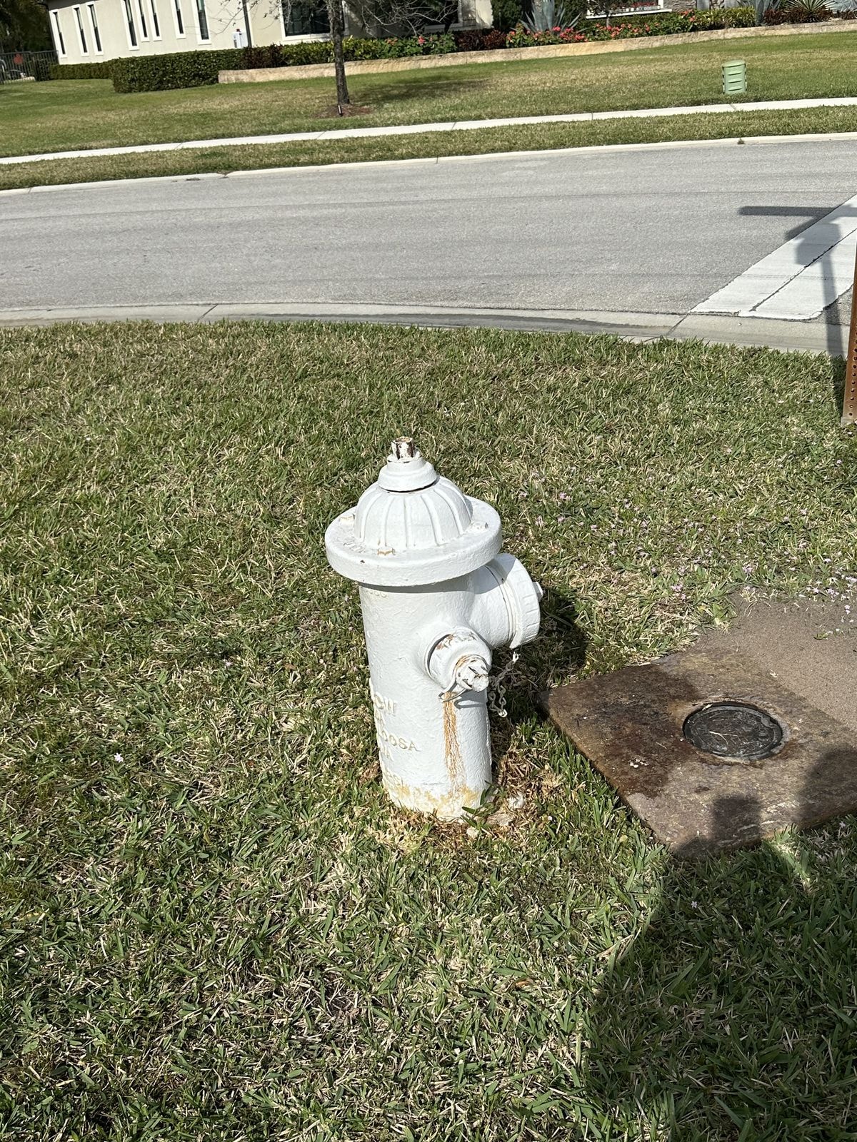 After: Before and after rust removal from a fire hydrant — heavy orange rust staining removed to reveal clean white surface, Jupiter, FL