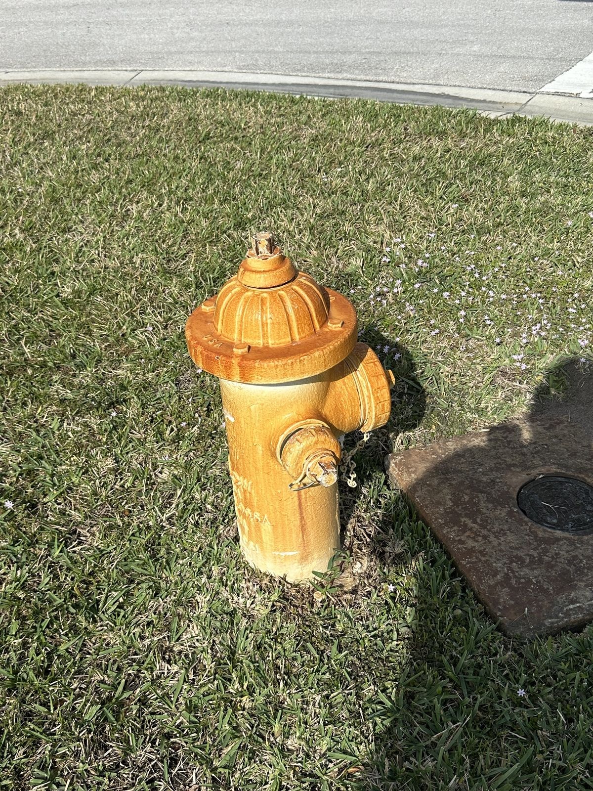 Before: Before and after rust removal from a fire hydrant — heavy orange rust staining removed to reveal clean white surface, Jupiter, FL