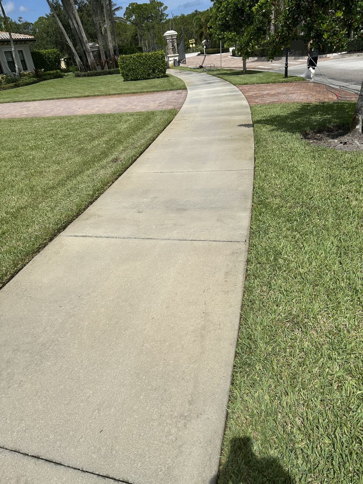 Curved residential sidewalk after pressure cleaning, Lake Worth, FL