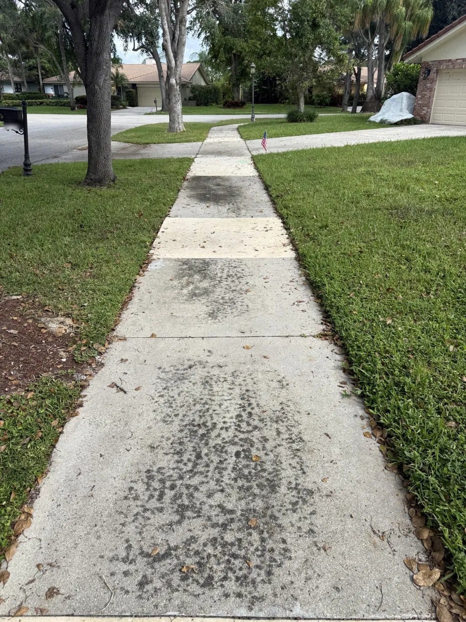 Before: Concrete sidewalk pressure washing - Boca Raton, FL — before service