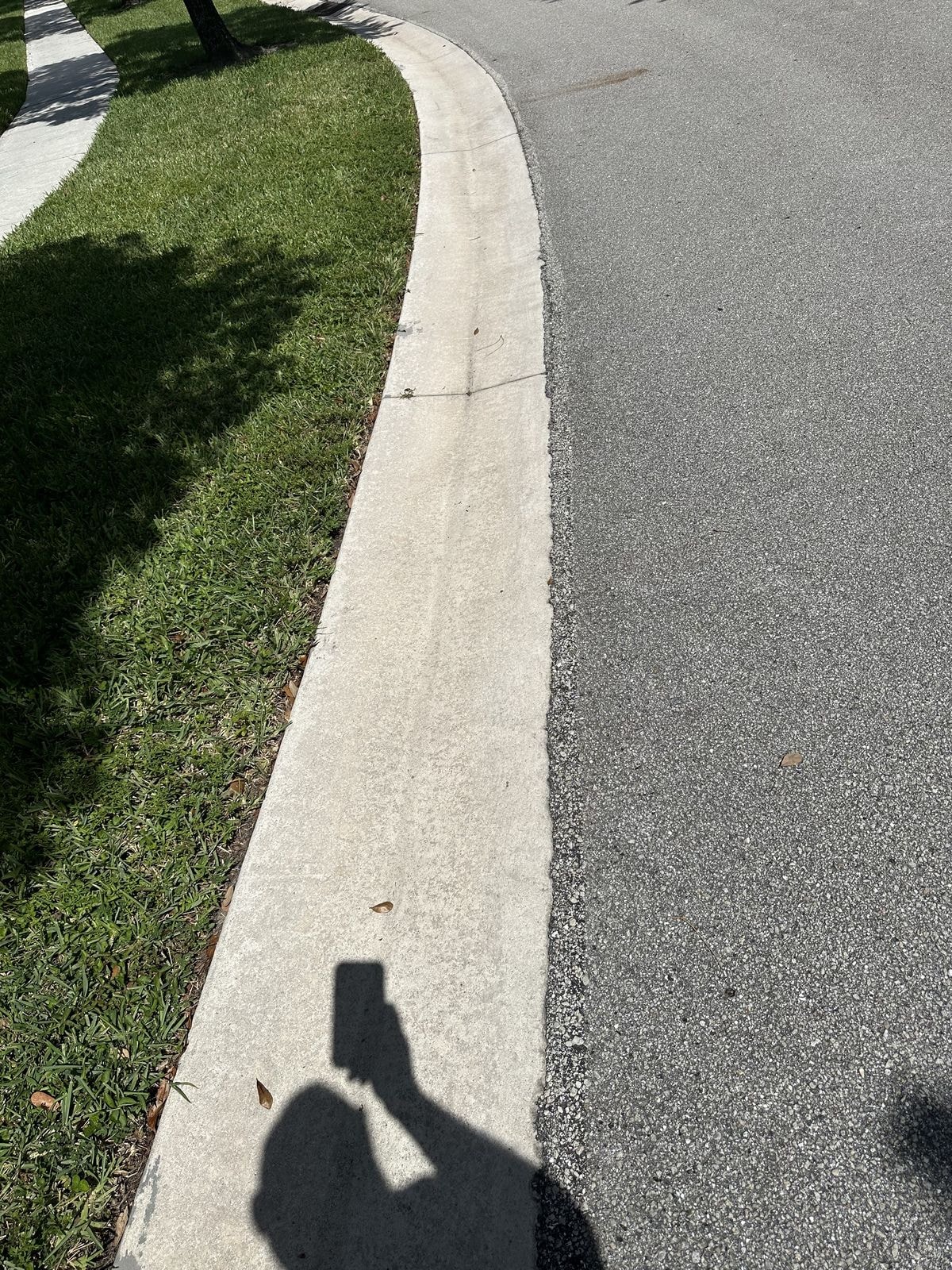 After: Residential sidewalk and curb after pressure washing, algae and staining fully removed, bright clean surface