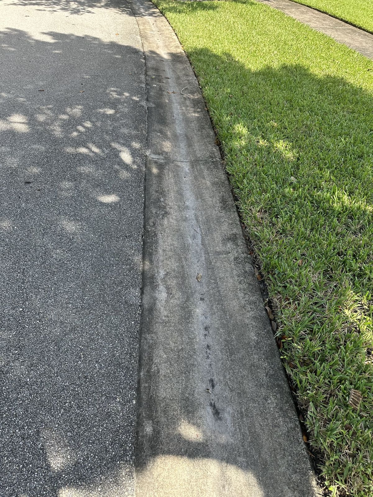 Before: Residential sidewalk and curb with heavy algae staining and dark discoloration before pressure washing