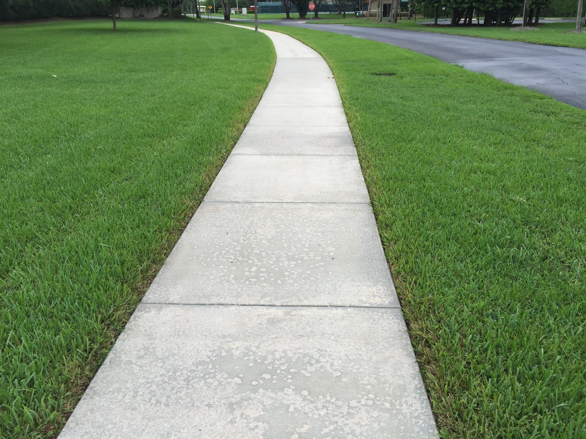 The same Delray Beach, FL HOA sidewalk after cleaning