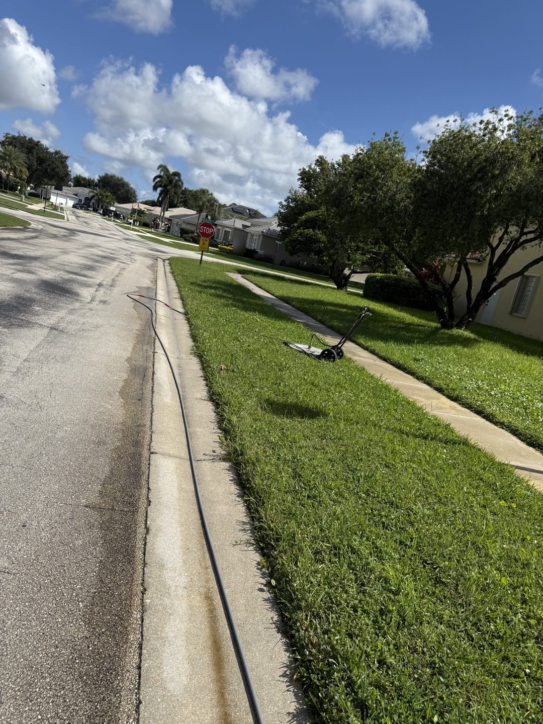 HOA sidewalk and swale in Wellington, FL before cleaning