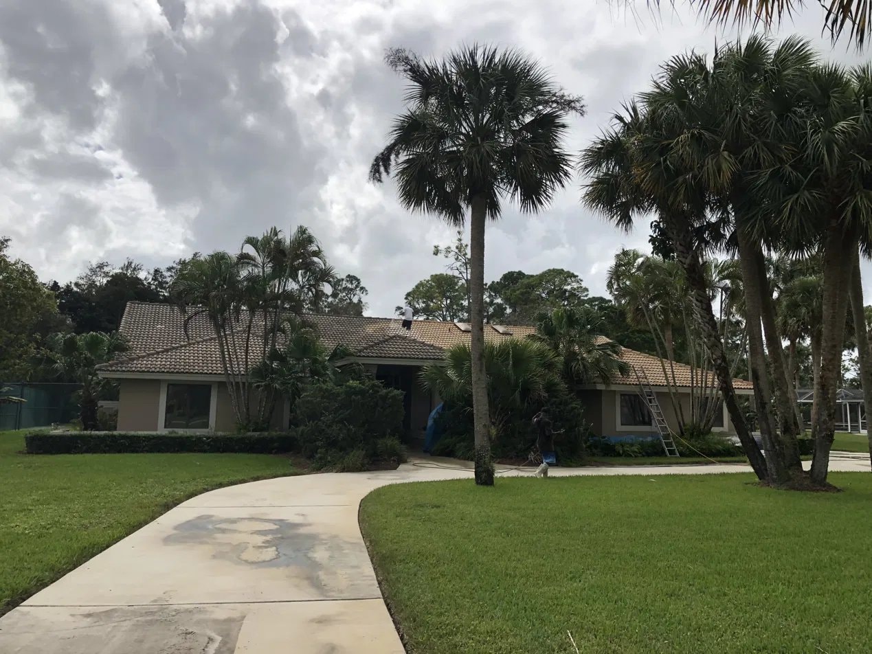 Soft-wash roof cleaning - flat tile roof, Paddock Park, Wellington, FL