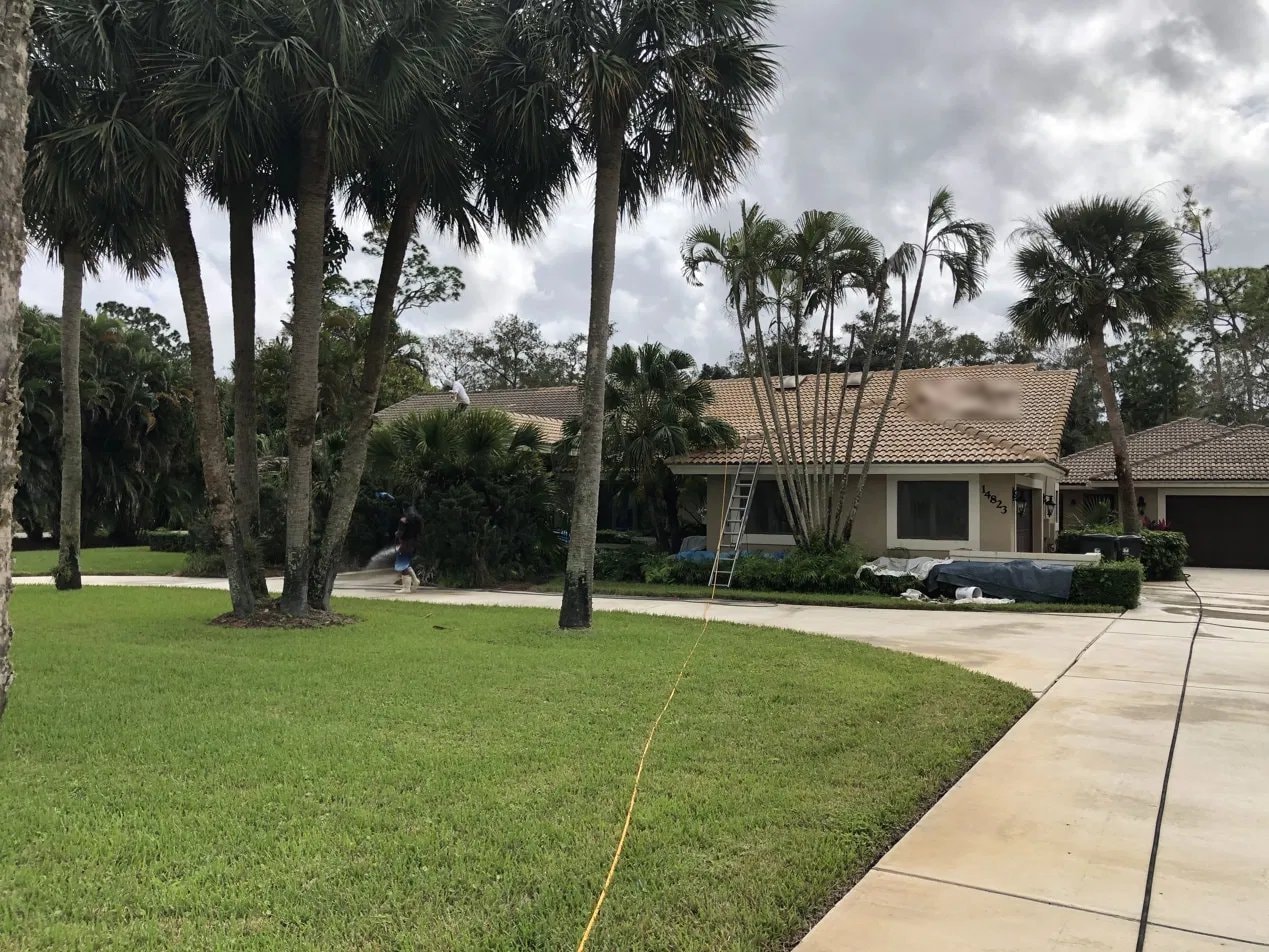 Soft-wash roof cleaning - flat tile roof, Paddock Park, Wellington, FL